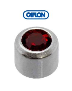 Caflon Stainless Polished Regular (January) Birth Stone