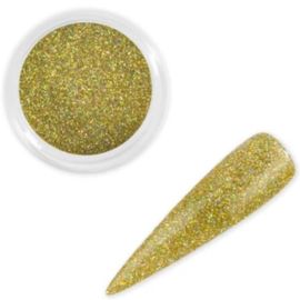 Holographic Gold Glitter 6g (Light Gold Holographic)