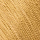 11G - Special Gold Blonde