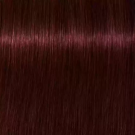 4-80 - Medium Brown Red Natural