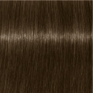 6-16 Light Brown Cendre Chocolate (Earthy Clay)