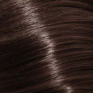 6/97 Dark Blonde Cendre Brown