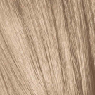 9-12 Extra Light Blonde Cendre Ash