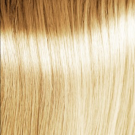 10.0 Lightest Blonde