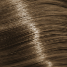 8/71 - Light Brunette Ash Brown