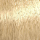 10/36 - Lightest Gold Violet Blonde