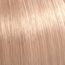 10/53 Lightest Blonde Mahogany Gold