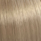 10/93 - Lightest Cendre Gold Blonde