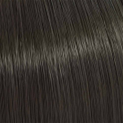 5/81 - Light Pearl Ash Brown