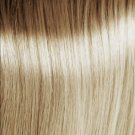 10.1 Lightest Ash Blonde