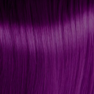 10.2 Lightest Violet Blonde