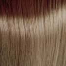 9.1 Very Light Ash Blonde