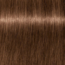 6-65 Dark Blonde Chocolate Gold