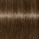 6-6 Dark Blonde Chocolate 