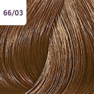 66/03 - Intense Dark Natural Gold Blonde