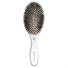 Olivia Garden Expert Care Oval Boar Bristle Brush - Silver