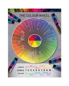 Osmo Ikon A2 Colour Wheel Poster