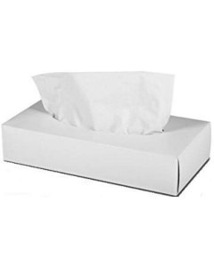 Facial Tissues (Box 100)