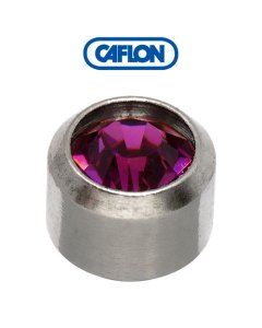Caflon Stainless Polished Regular (February) Birth Stone