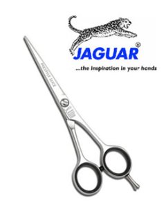 Jaguar Prestyle Slice Polished Finish 6"