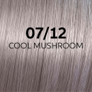07/12 Medium Blonde Ash Matte