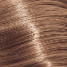 10/03 Lightest Blonde Natural Gold