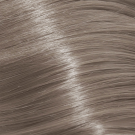 11A - Special Ash Blonde