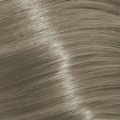 11V - Special Blonde Violet