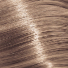 12/16 Special Blonde Ash Violet