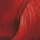 /44 - Intensive Red