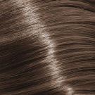 6N - Dark Blonde