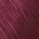 6VV Max - Vivid Violet
