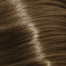 8A - Light Ash Blonde