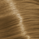 8N - Light Blonde