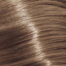 9NA - Very Light Natural Ash Blonde
