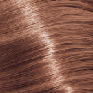 8/97 Light Blonde Cendre Brown