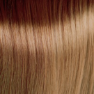 8.3 Light Golden Blonde
