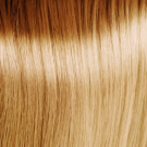9.3 Very Light Golden Blonde