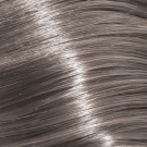 8.21 - Light Blonde Ash Cendre