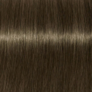 6.31 - Dark Blonde Matt Cendre