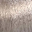 10/69 - Lightest Cendre Blonde Violet