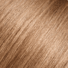 8.03 Light Blonde Natural Warm