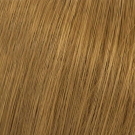 8/3 - Light Gold Blonde