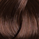 5.43 Light Copper Golden Brown