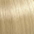 10/1 - Lightest Ash Blonde
