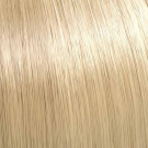 10/38 - Lightest Gold Pearl Blonde