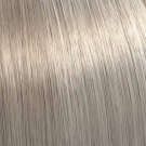 10/81 - Lightest Pearl Ash Blonde