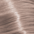 10.21 Lightest Iridescent Ash Blonde