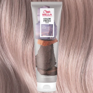 Lilac Frost
