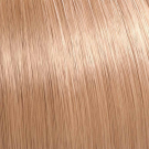 8/05 - Medium Neutral Mahogany Blonde